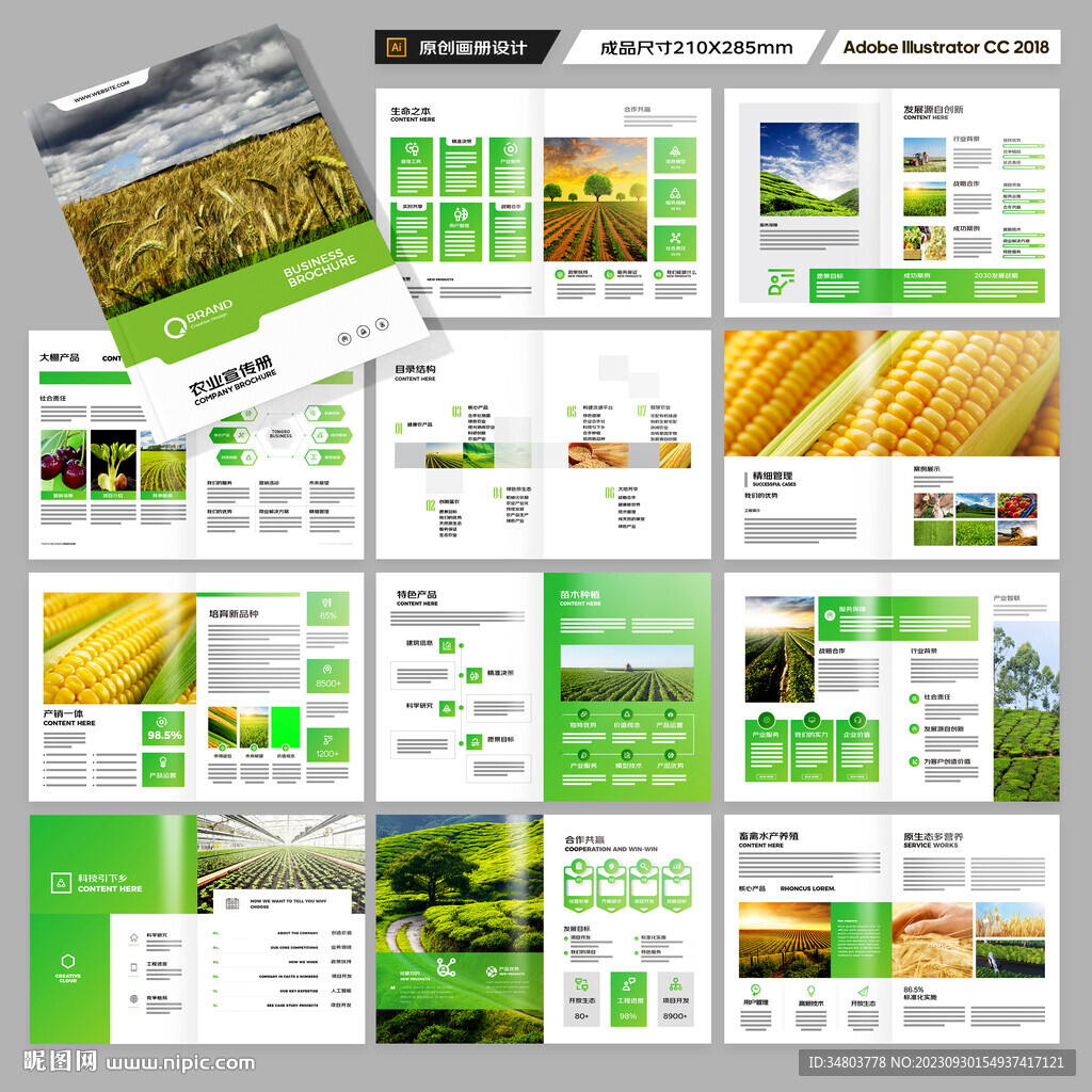 农业宣传册