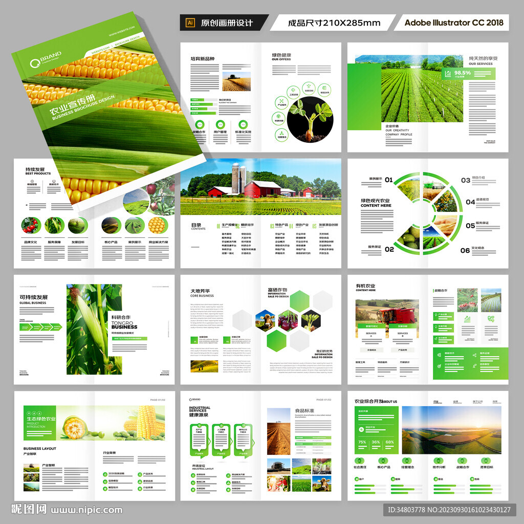 农业宣传册