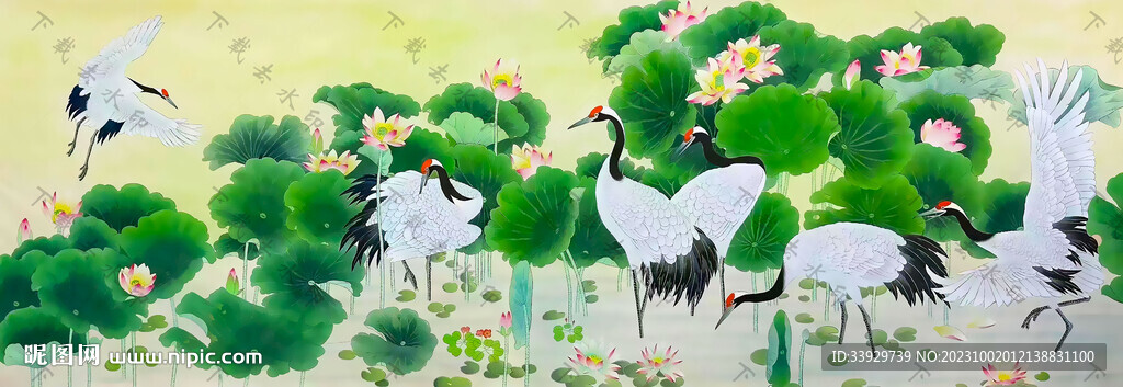 仙鹤 荷花