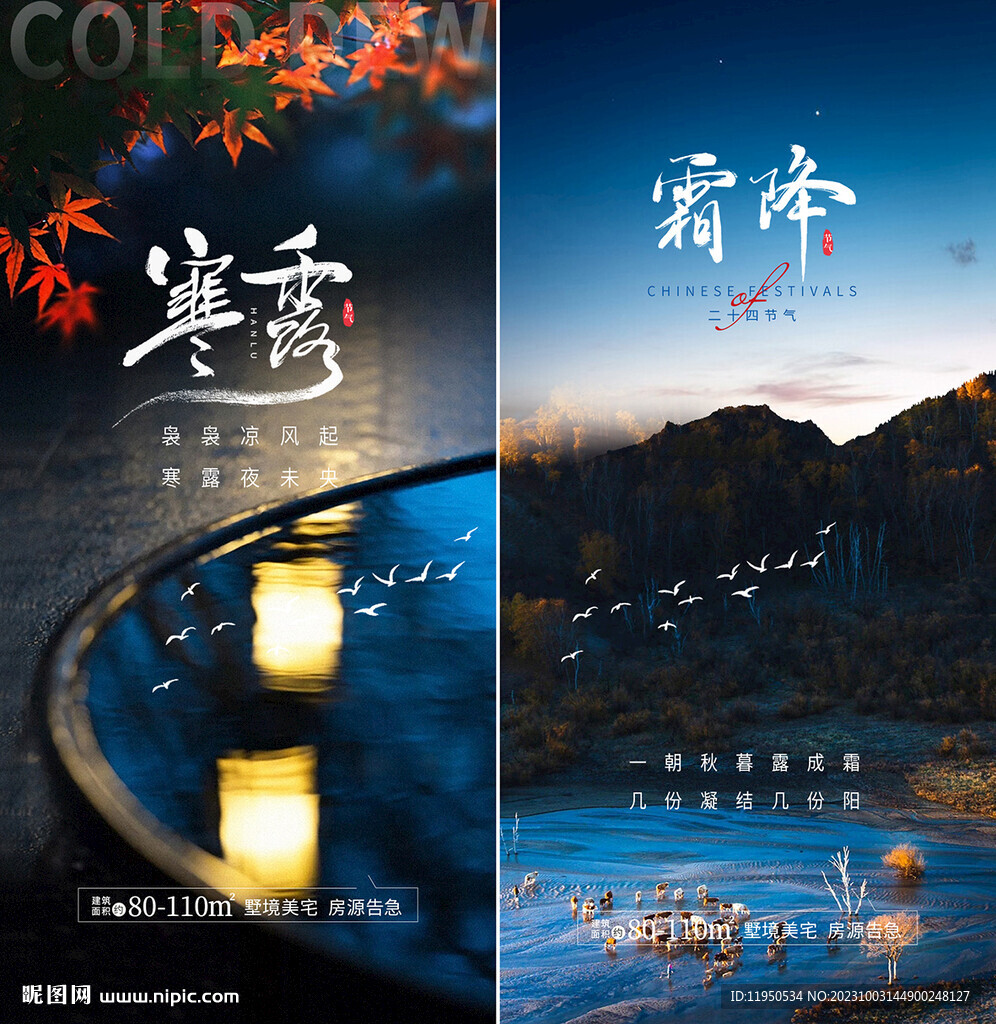 寒露  