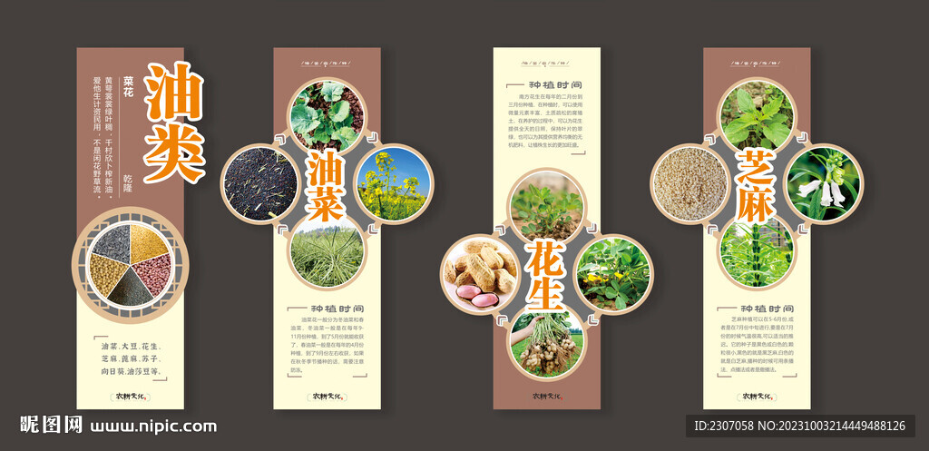 种植文化五