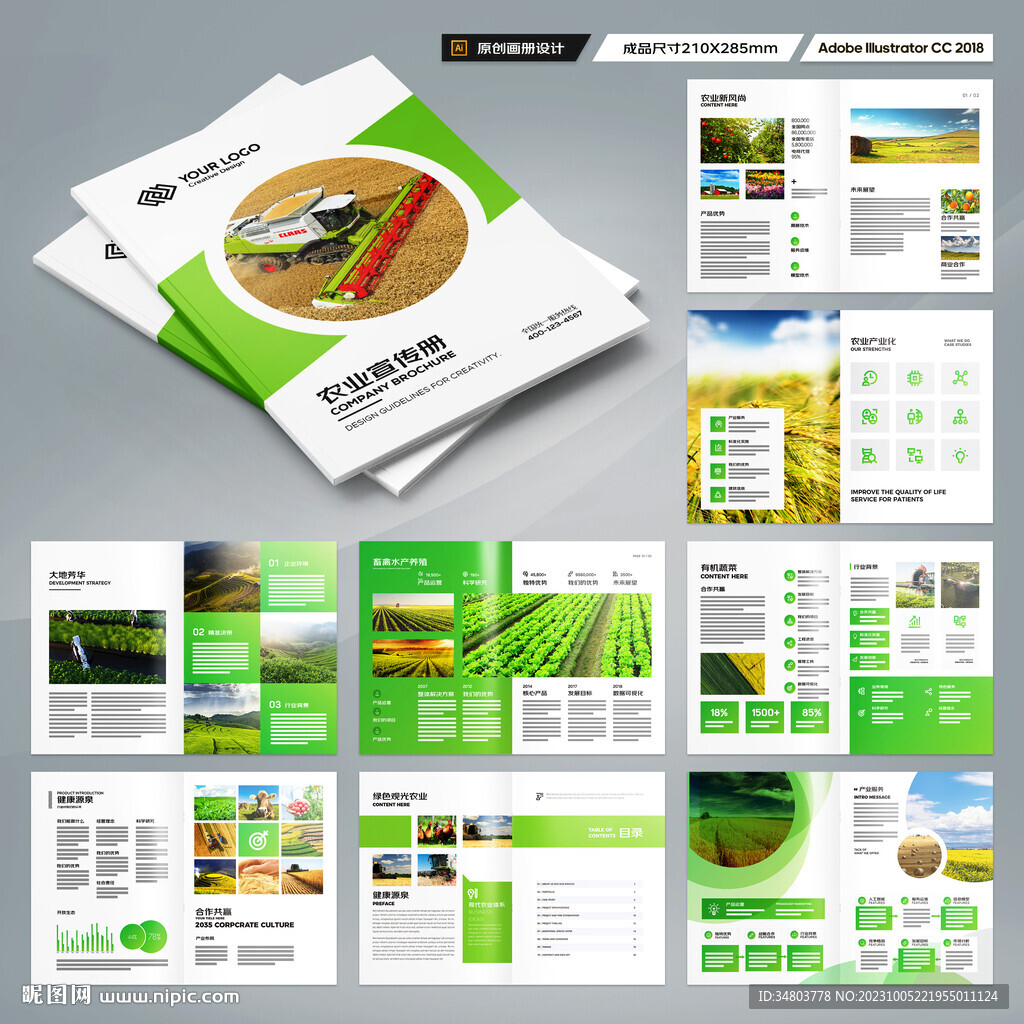 农产品宣传册