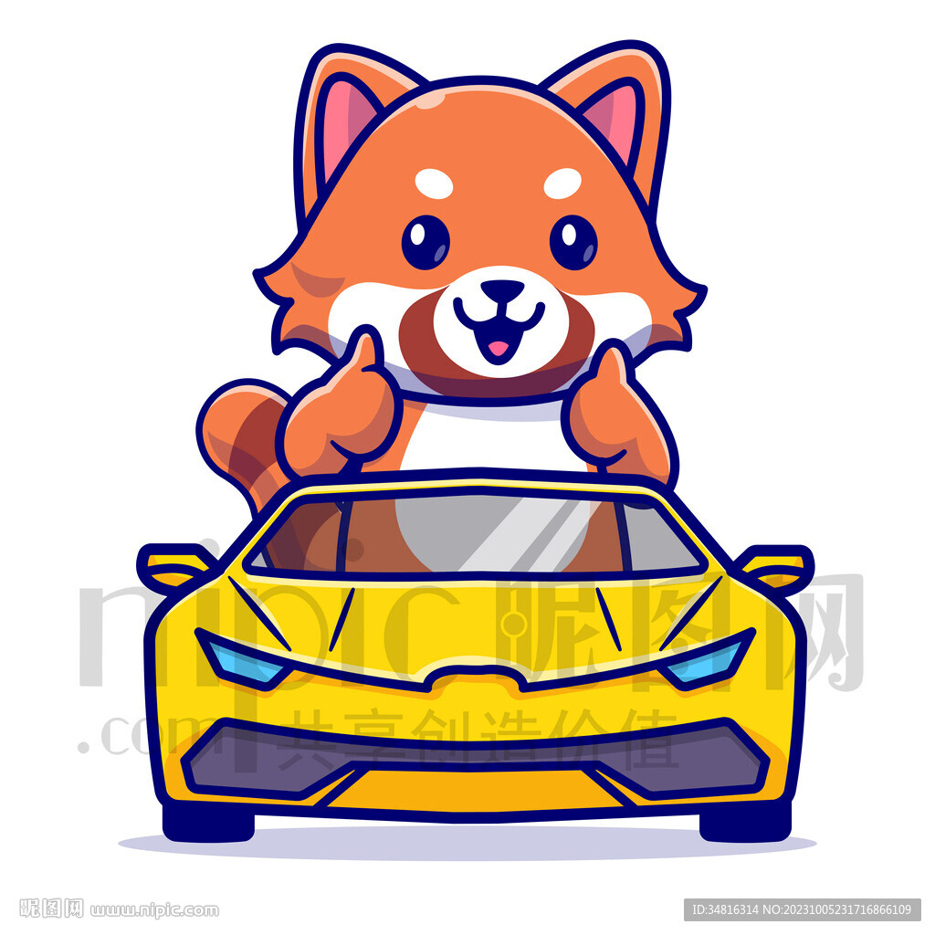 可爱卡通坐小汽车的小浣熊