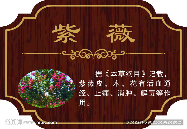 花草木 小区花木 造型