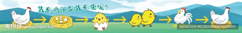 鸡蛋孵化过程图
