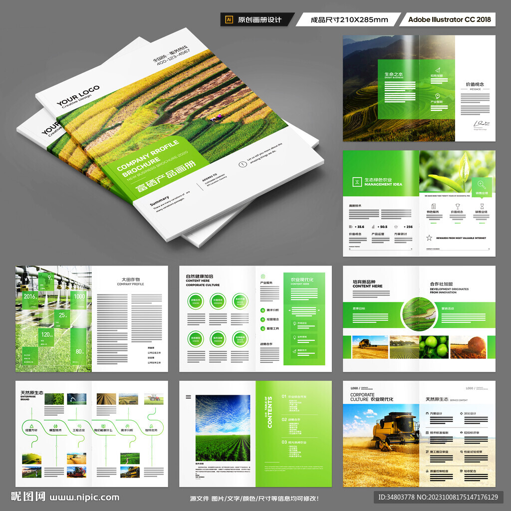 农产品宣传册