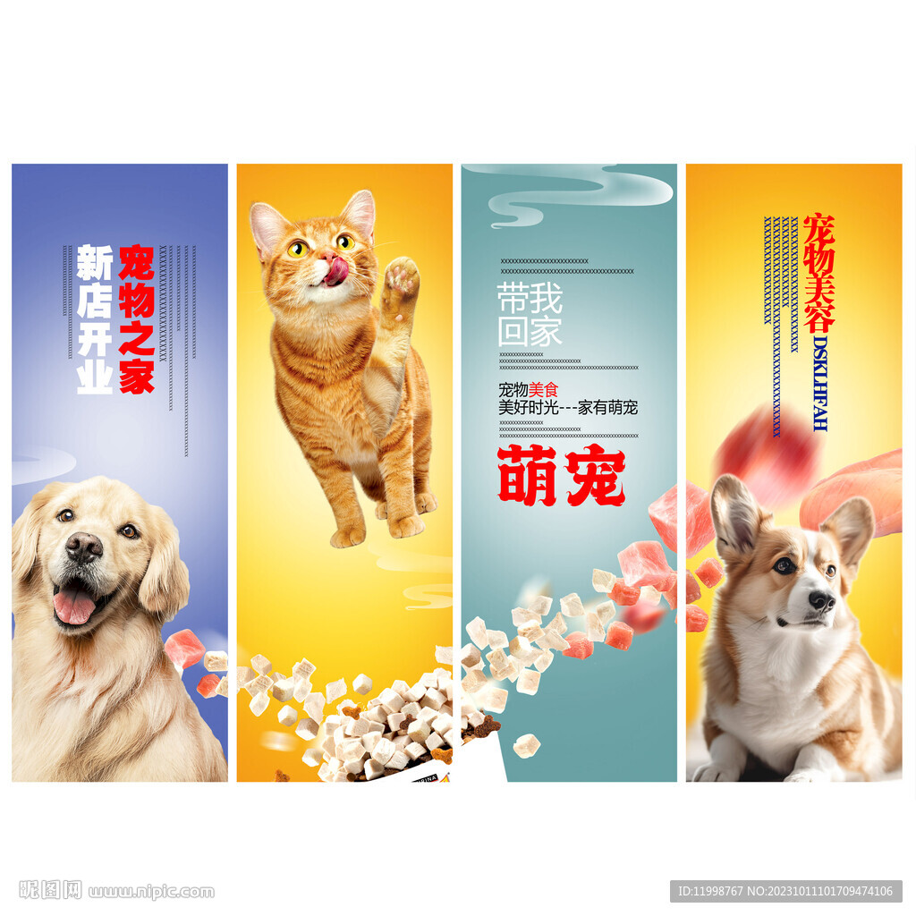 宠物之家