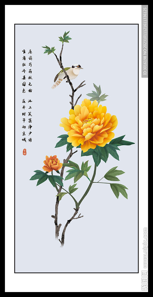 牡丹国画