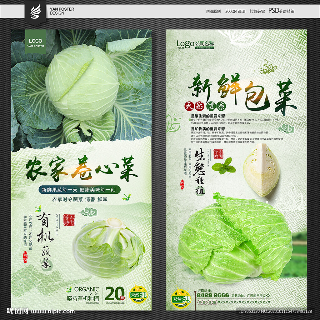 卷心菜