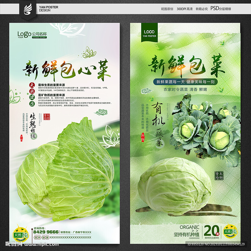 包菜
