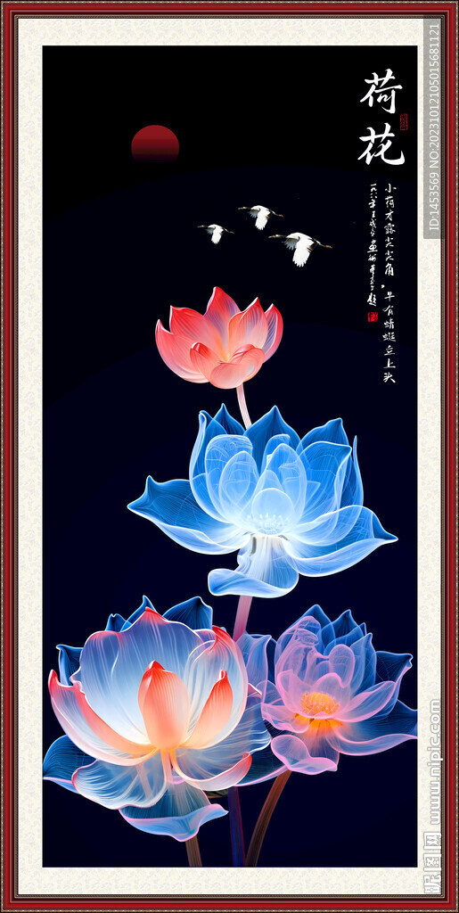荷花