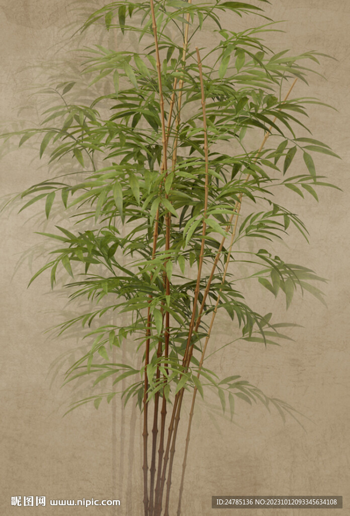 竹子背景