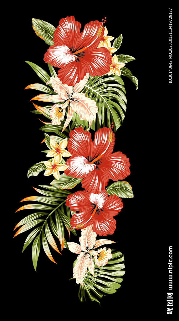 扶桑花