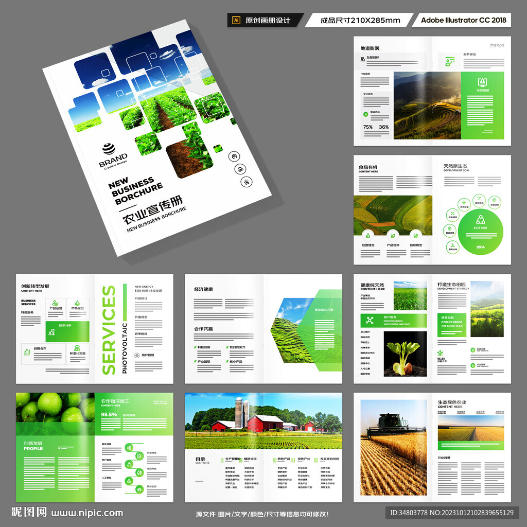 农产品宣传册