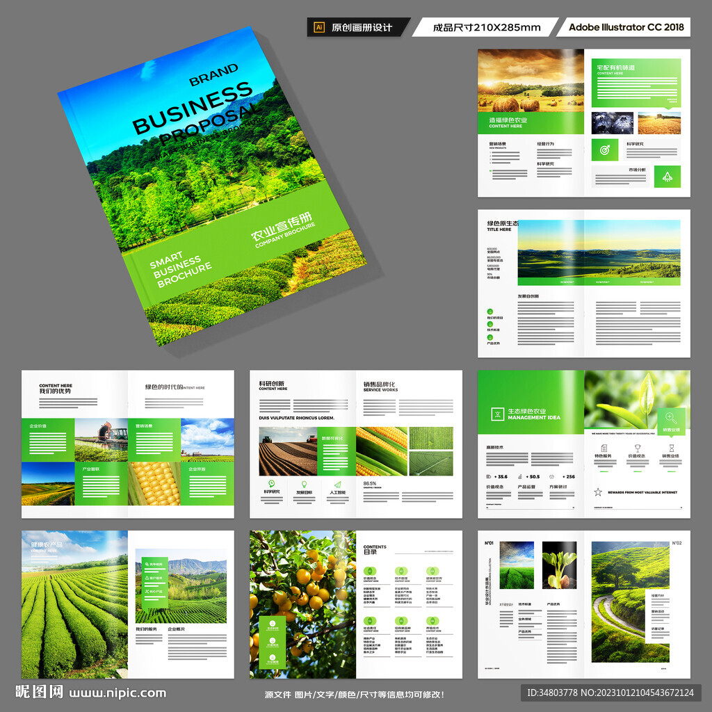 农产品画册