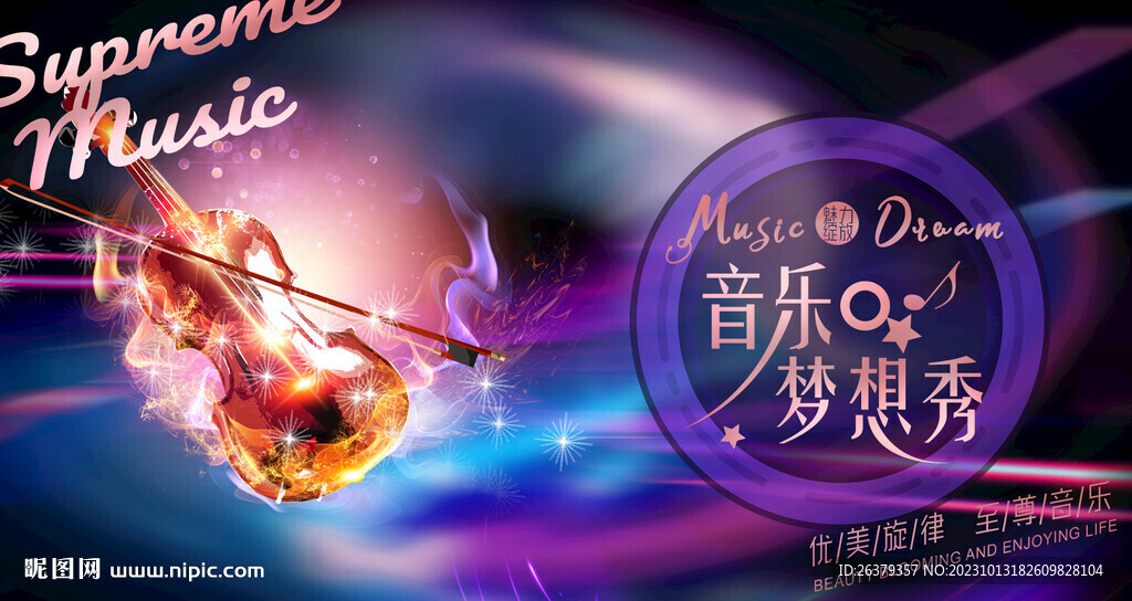 小提琴广告