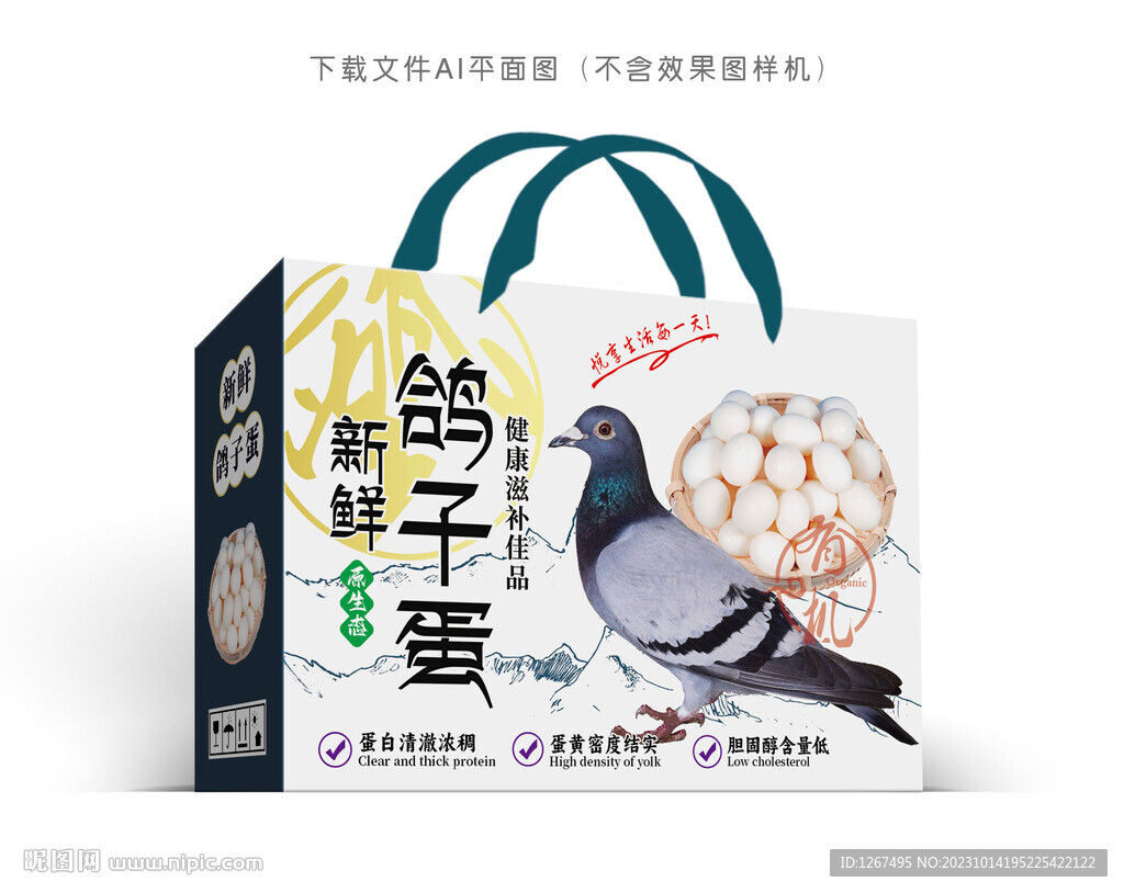 鸽蛋包装