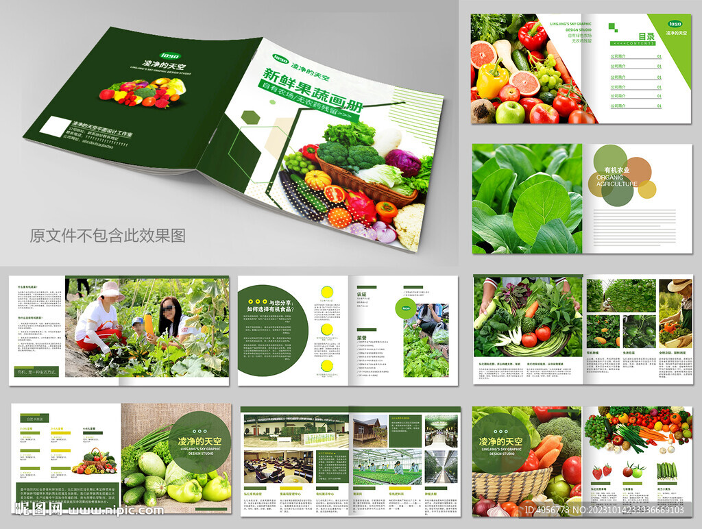 绿色便民超市果蔬画册设计