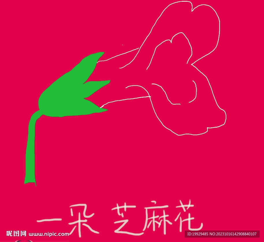 一朵芝麻花