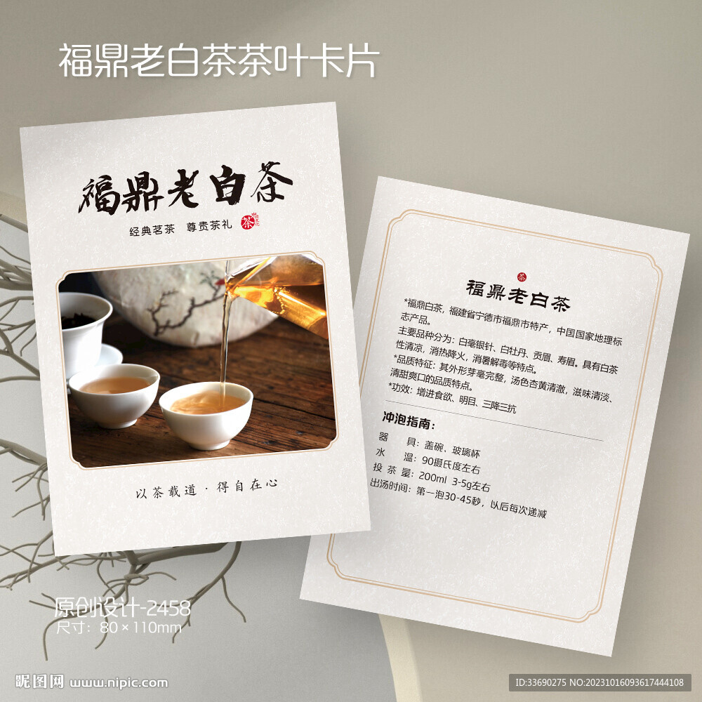 福鼎老白茶茶叶介绍冲泡方法卡片