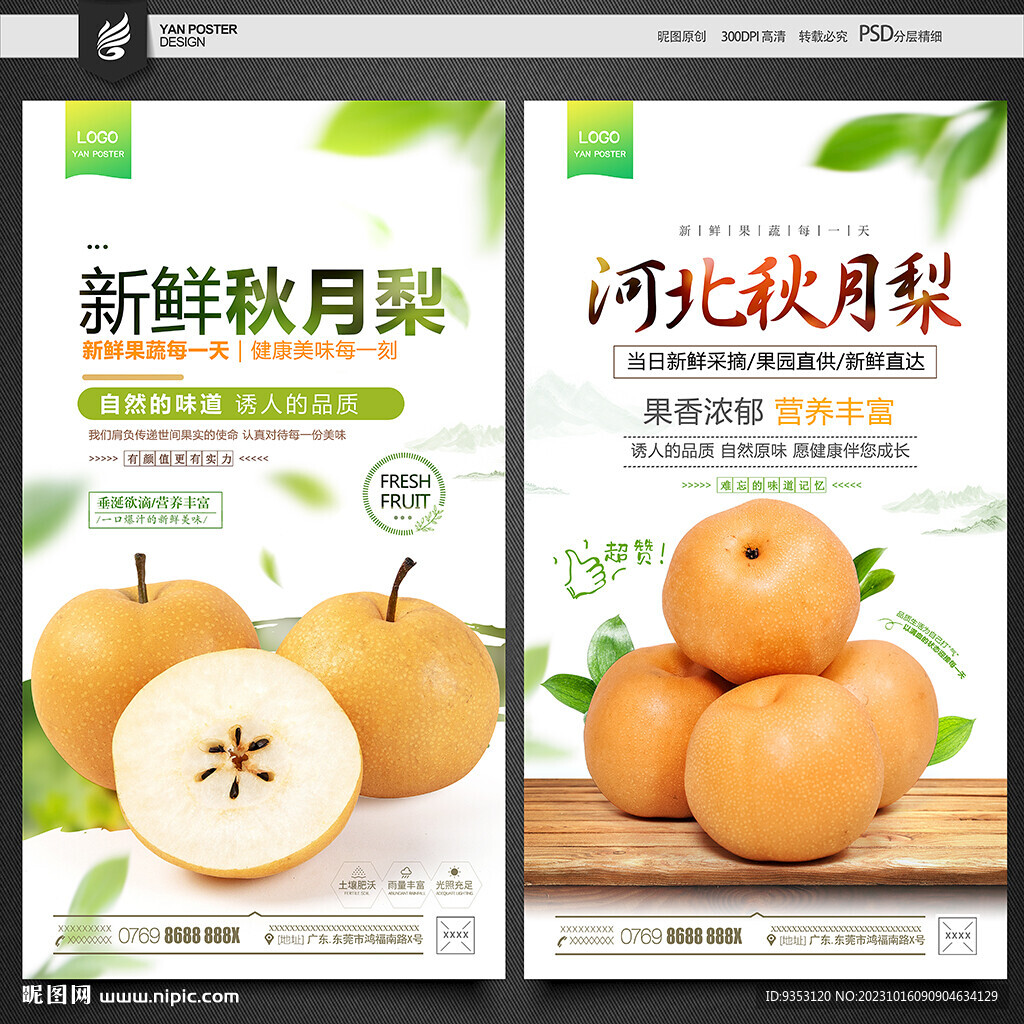 秋月梨