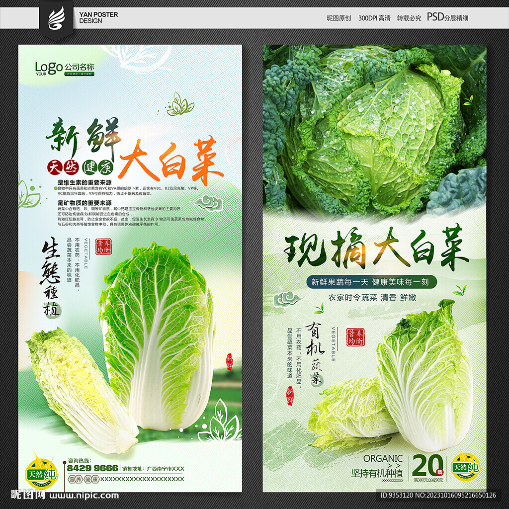 大白菜