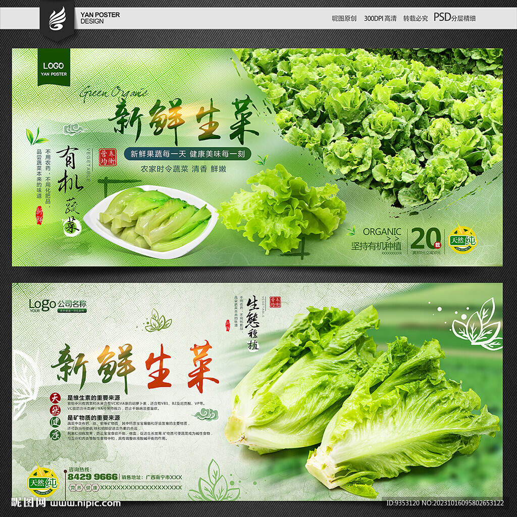 生菜