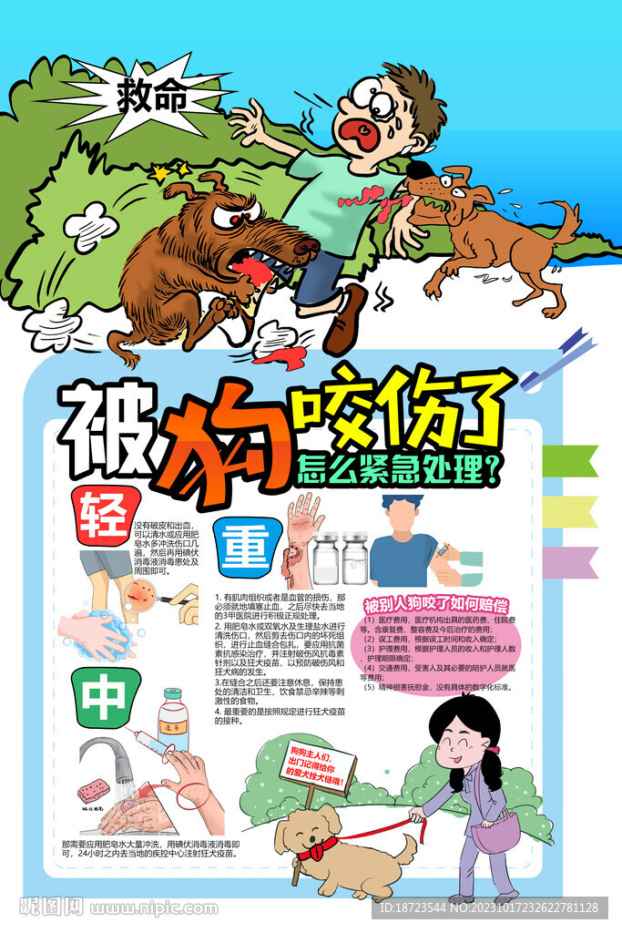 被狗咬伤了怎么紧急处理