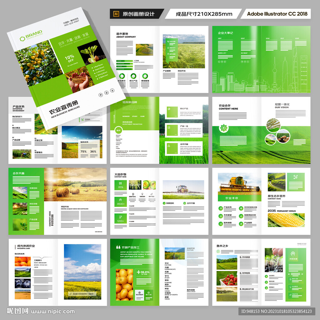 农产品宣传册