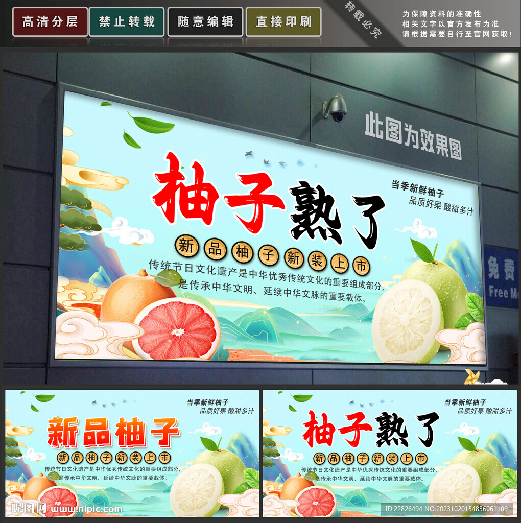 柚子