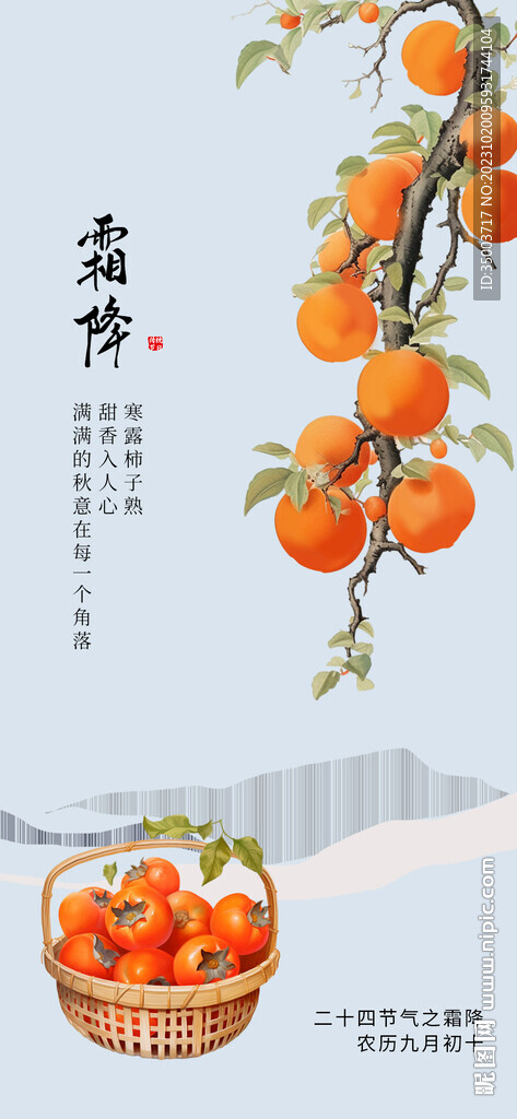 霜降柿子插画二十四节气海报
