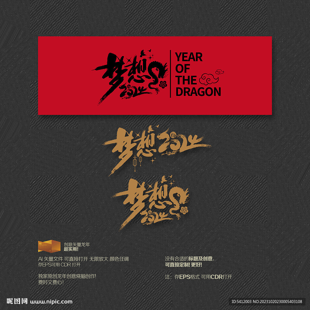 梦想2024
