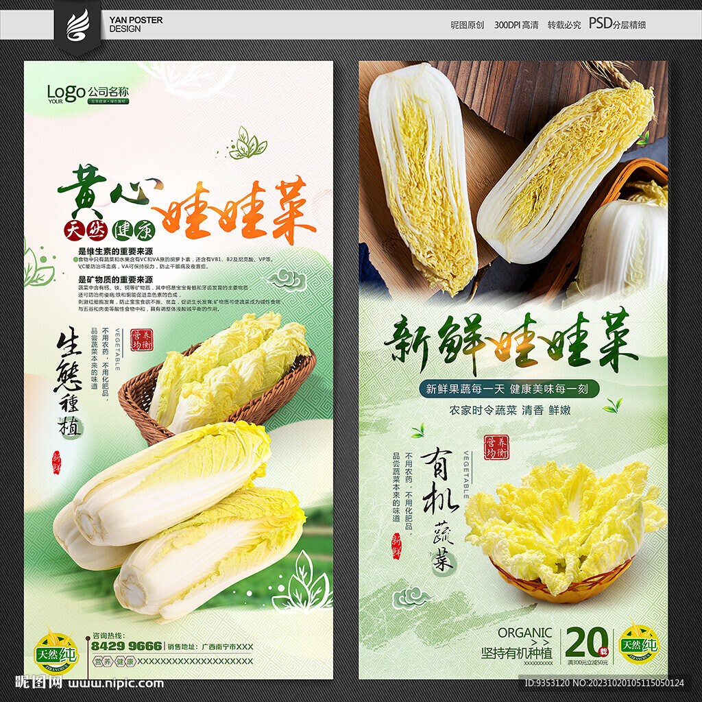 娃娃菜