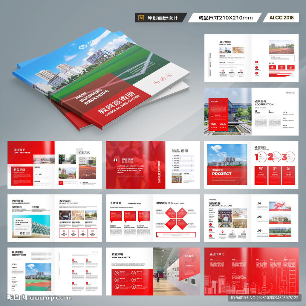 方形教育宣传册