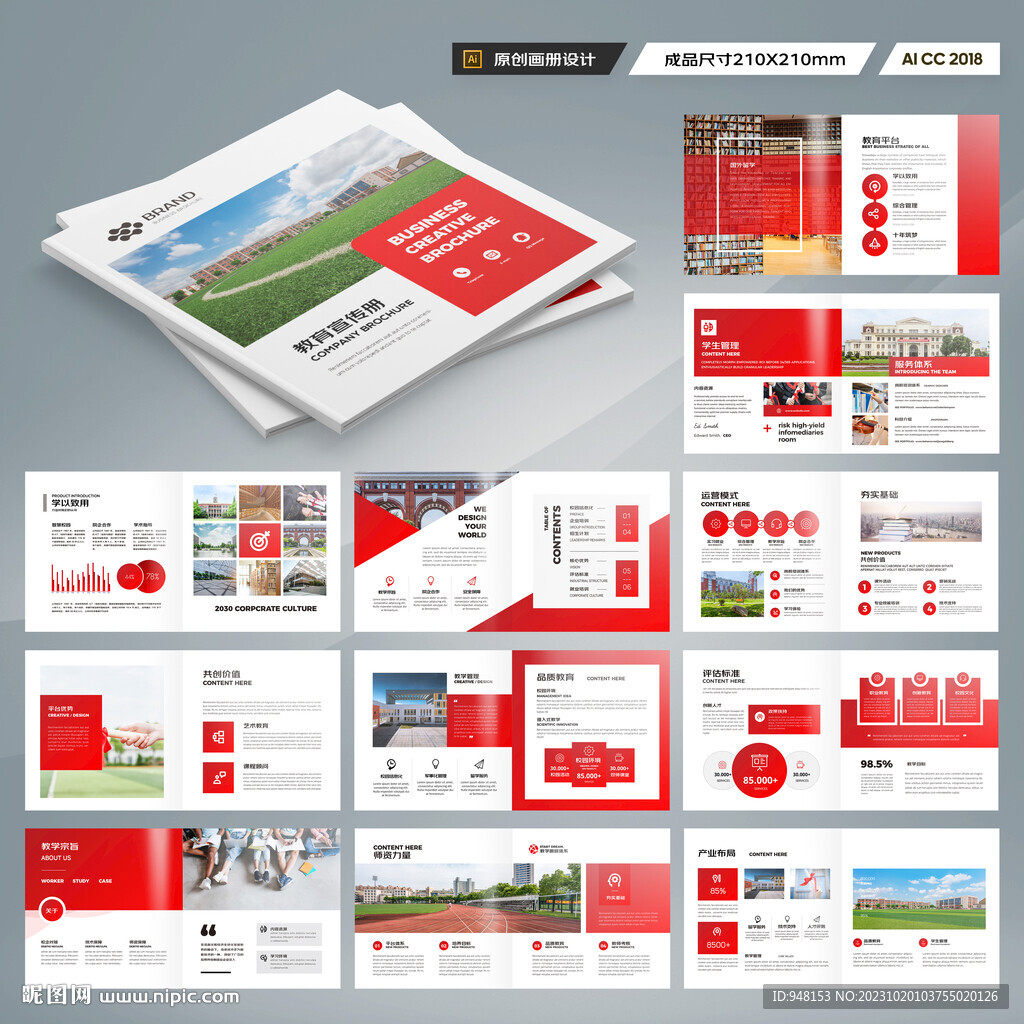 方形教育宣传册