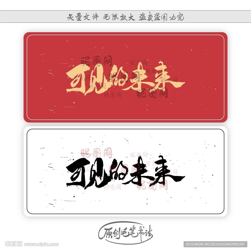 可见的未来