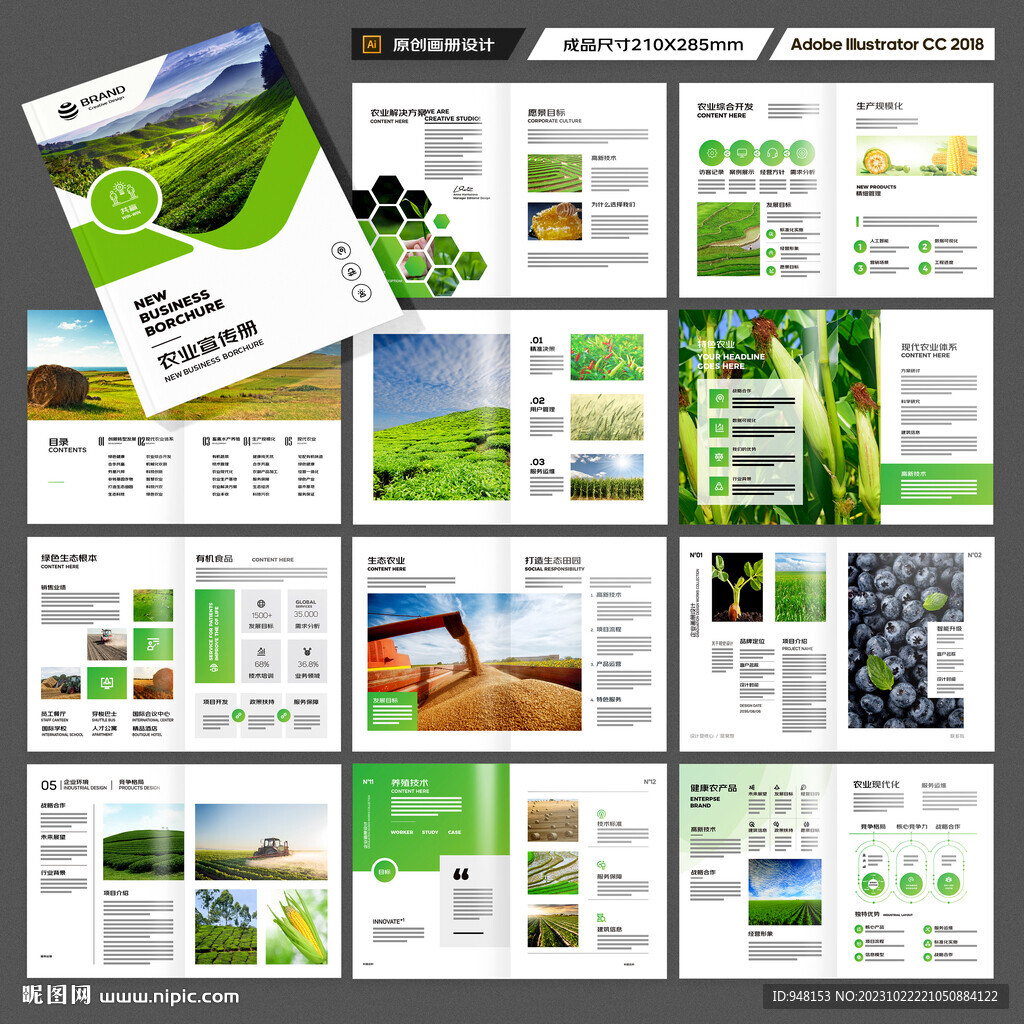 农业合作社画册