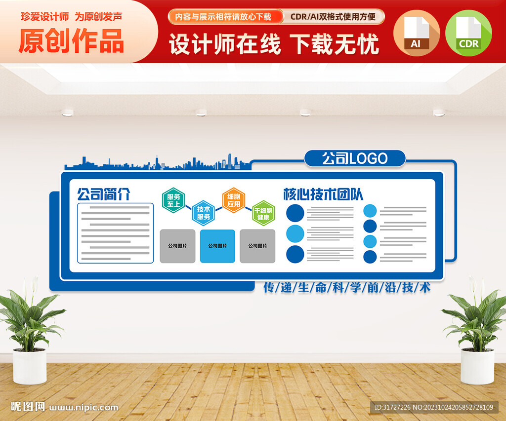 公司文化墙