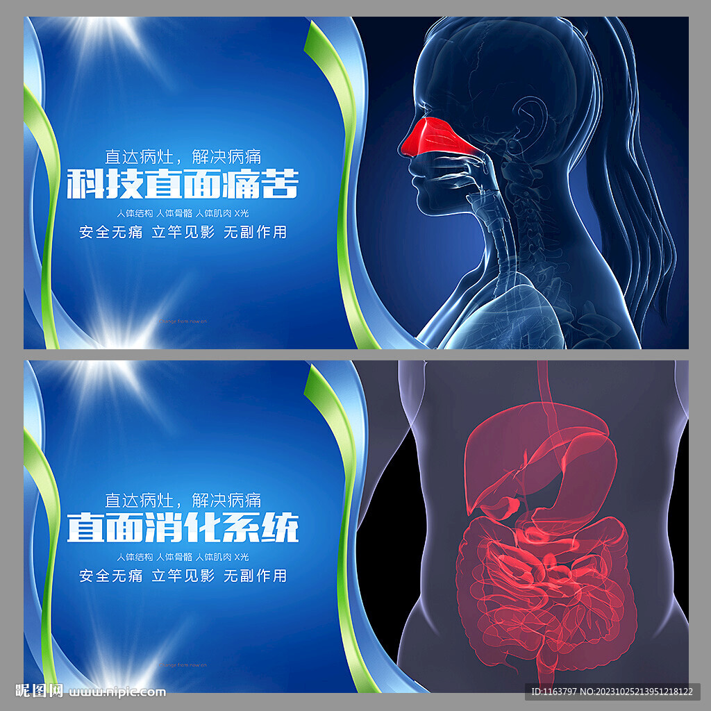 医院内科挂图