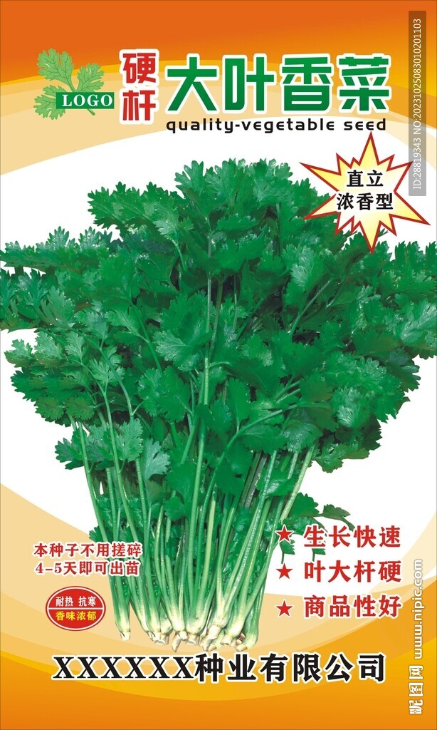 香菜种子展板