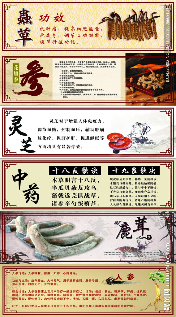 药材海报