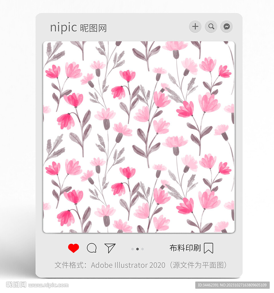 花朵花卉