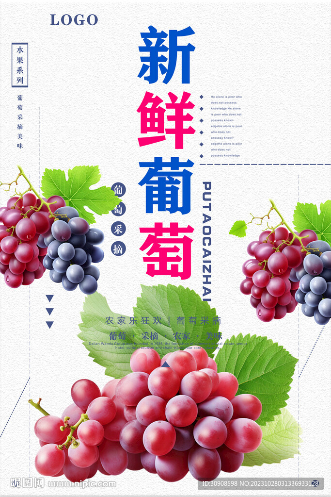 葡萄