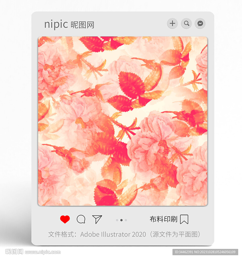 花朵花卉 