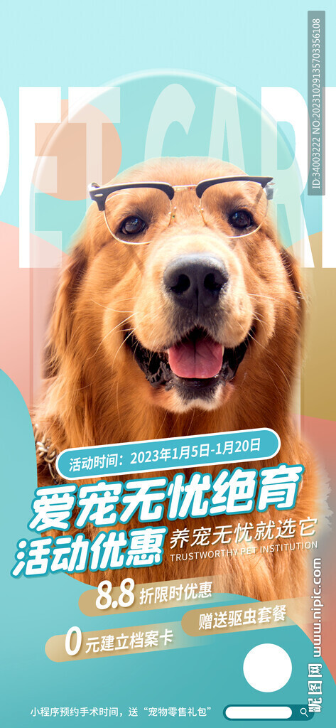 宠物绝育海报