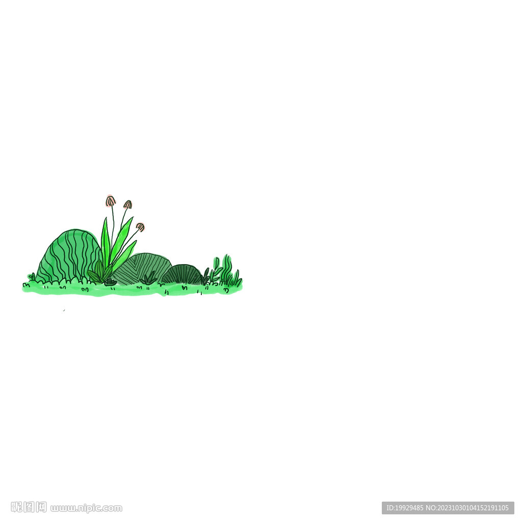 灌木丛