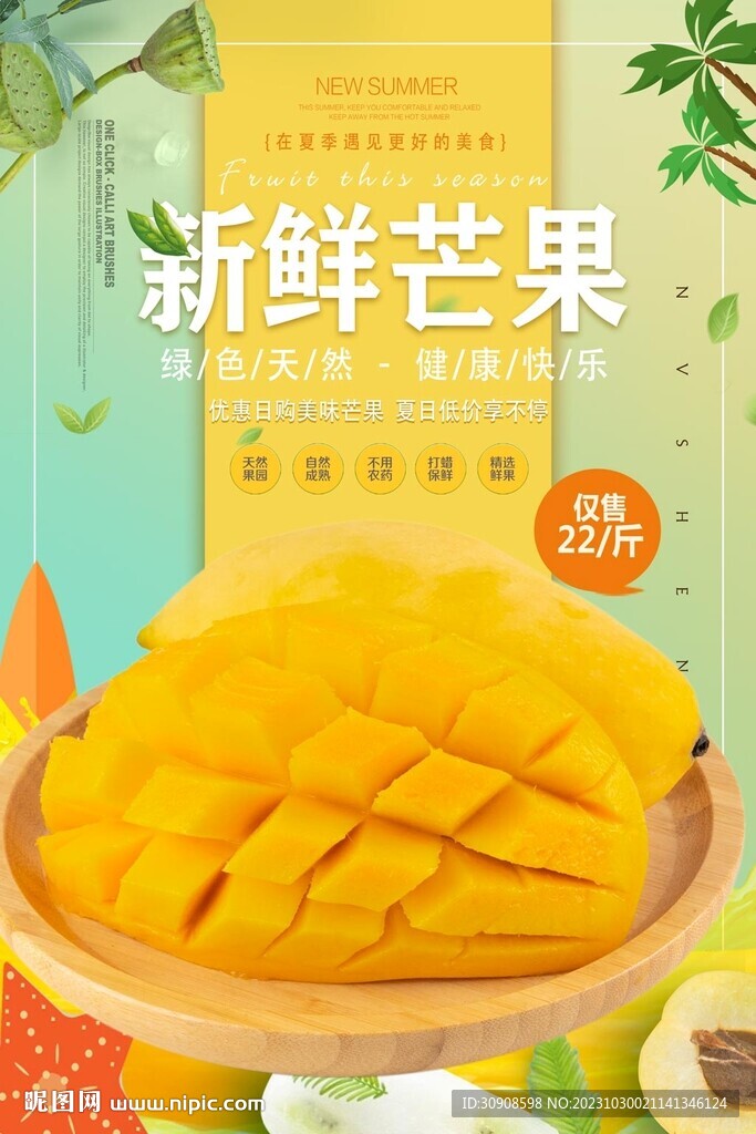 芒果
