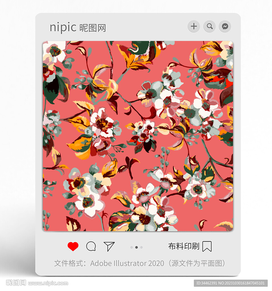 花朵花卉棉花