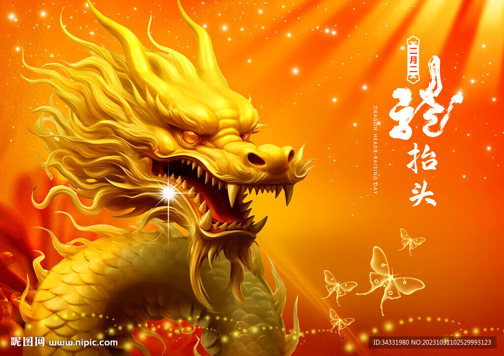 龙