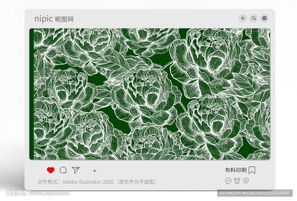 花朵花卉